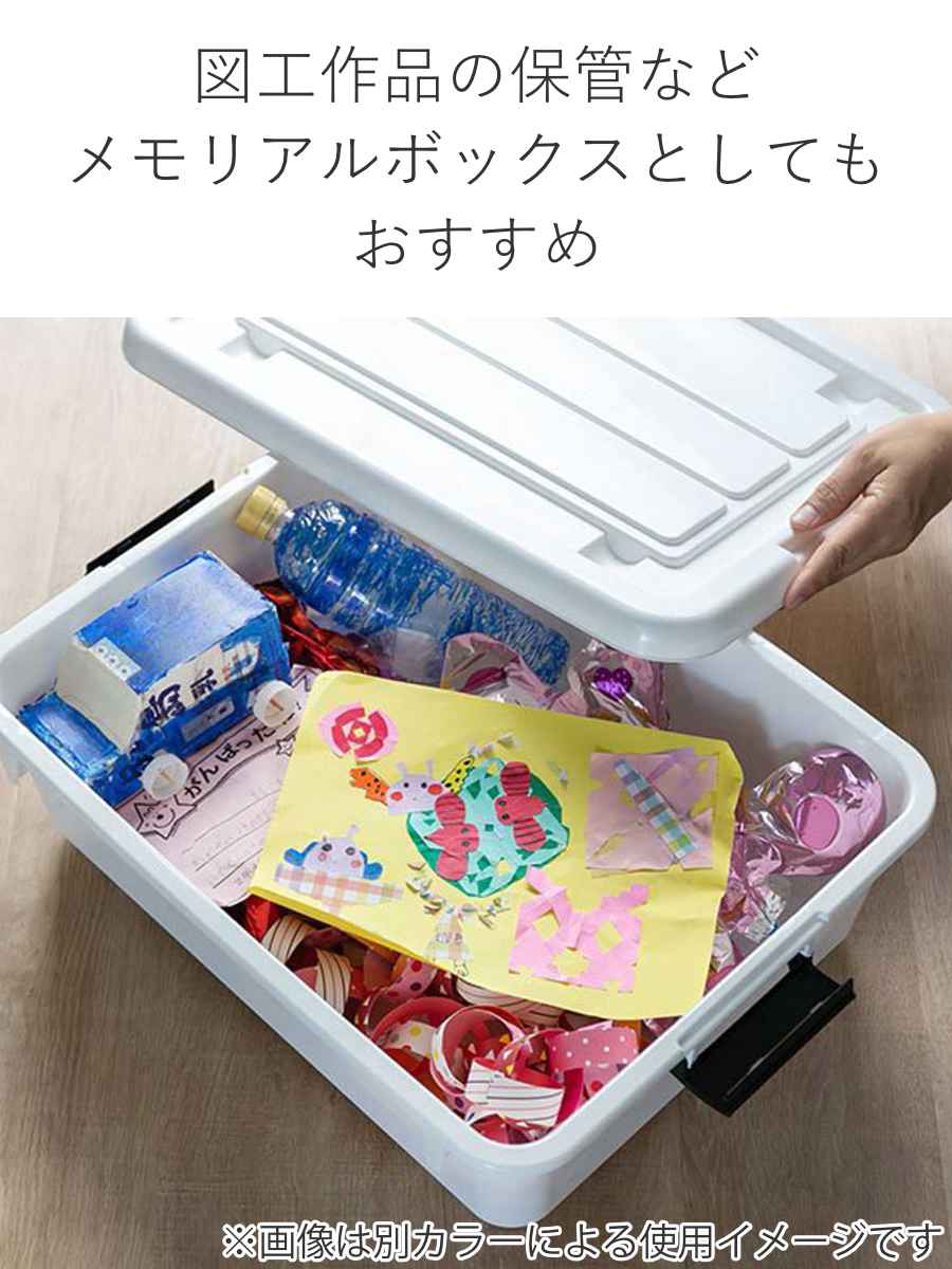 デュビア コロニーごと 60cm衣装ケース内全部セット