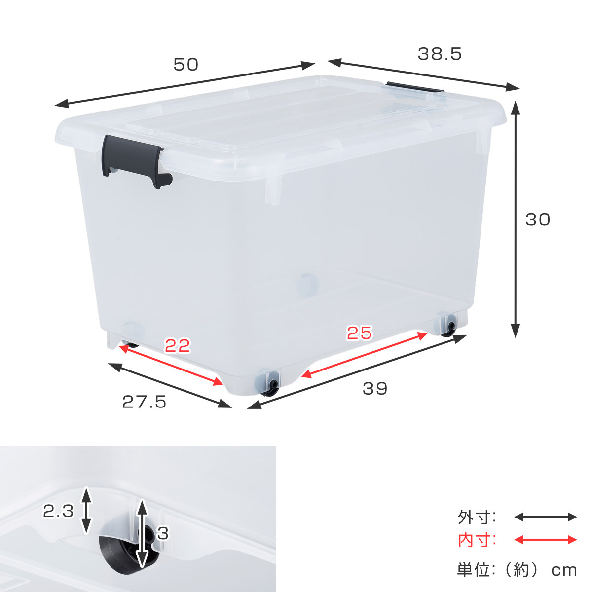 JEJアステージ 衣装ケース クローゼット 収納ケース コロモ 幅38.5