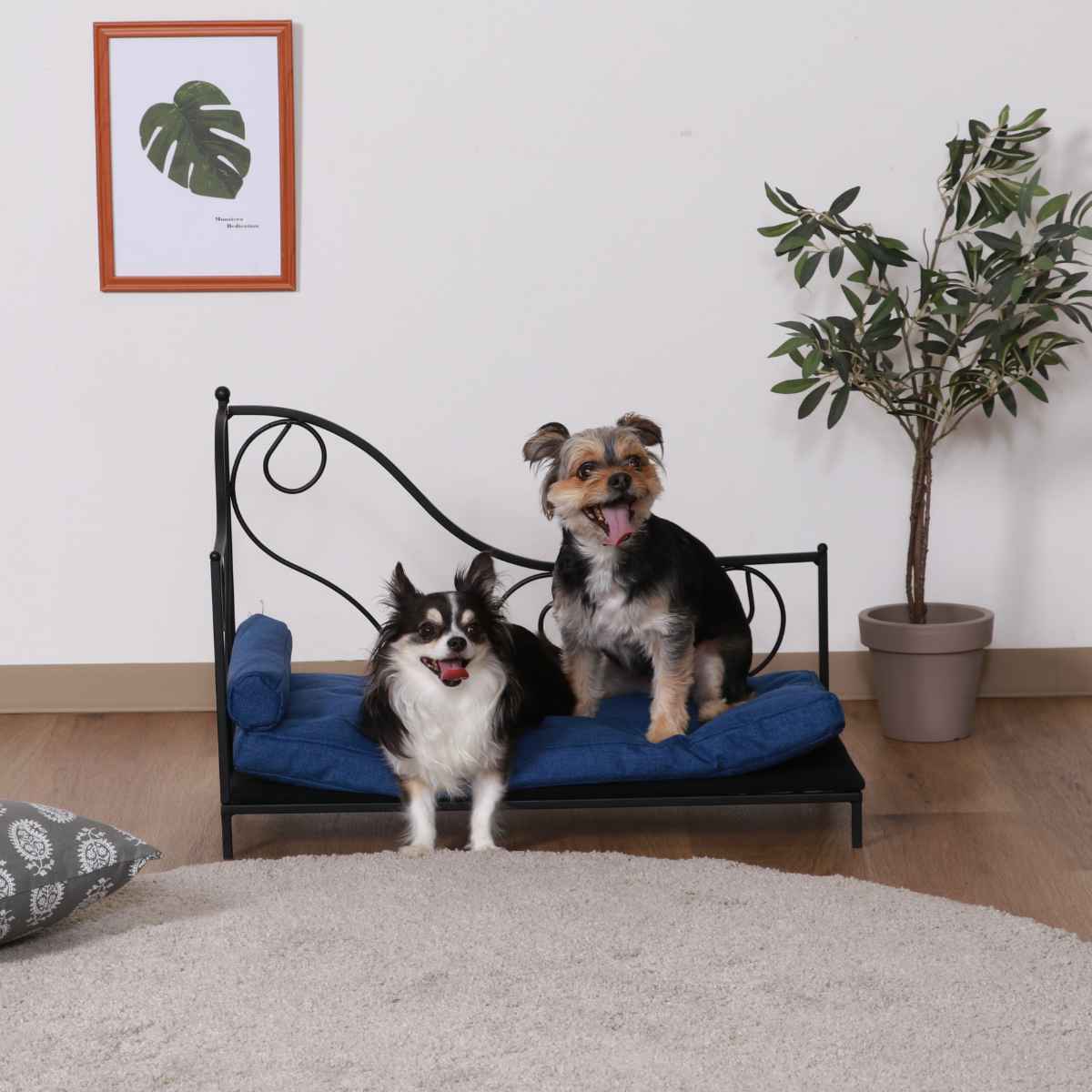 アイアンベッド（犬用品） | ペット用品、生き物 のおすすめ人気商品