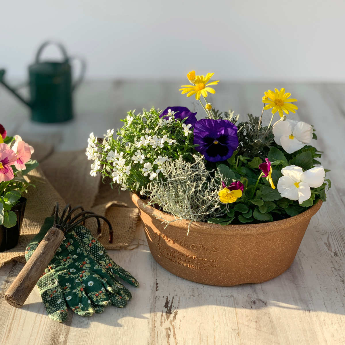 八幡化成 プランター エコプランター浅型 直径30cm 木粉入り （ 植木鉢