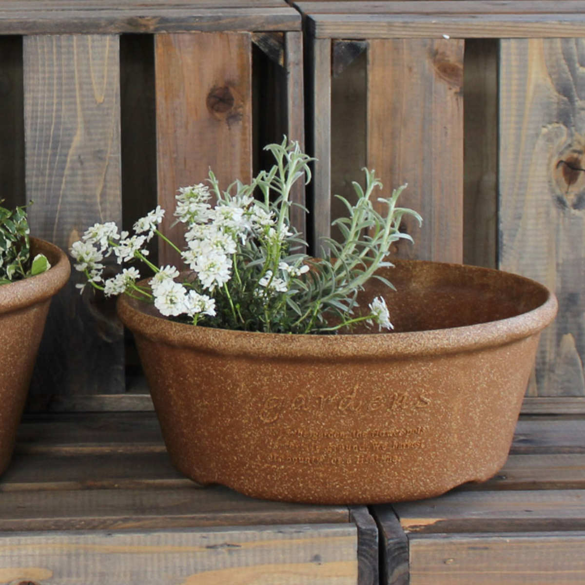 八幡化成 プランター エコプランター浅型 直径30cm 木粉入り （ 植木鉢