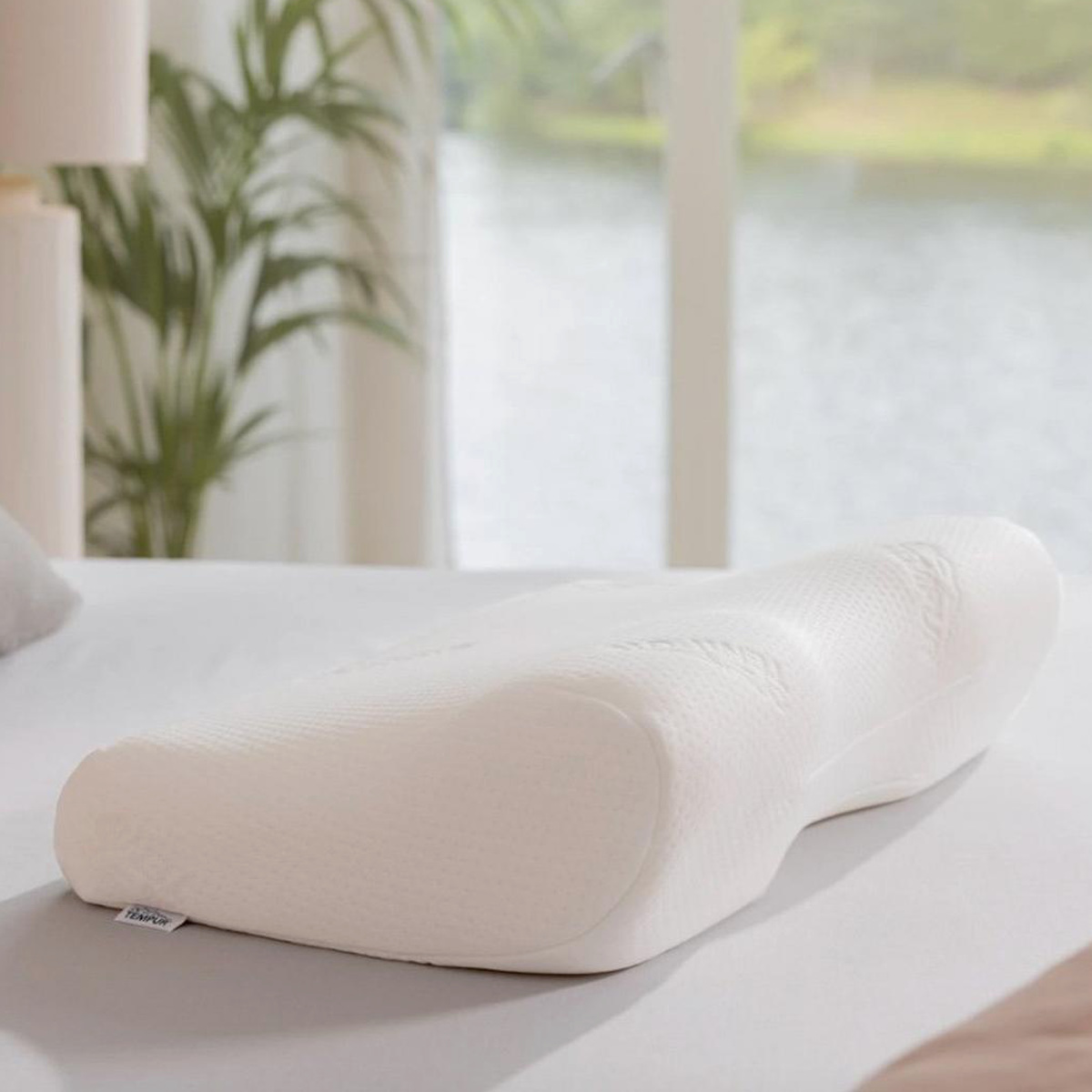 テンピュール・シーリー ミレニアムネックピロー L (枕) 価格比較