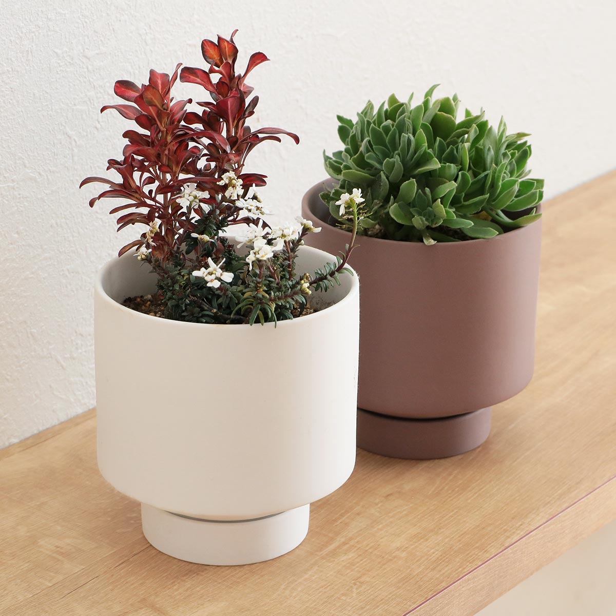 植木鉢 Manon セラミック （ プランター プラントポット 植物用ポット 鉢 花器 鉢カバー ポット 丸 受皿 ）