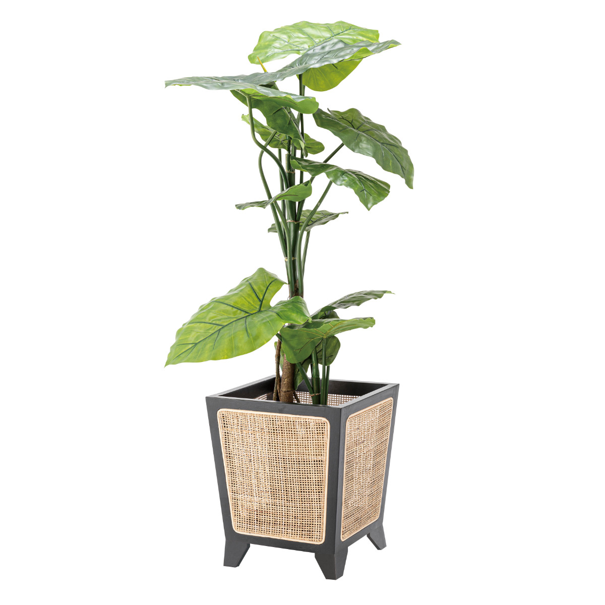 プランターカバー 幅32×奥行32×高さ38cm 8号用 （ 植木鉢カバー ポットカバー 鉢入れ 鉢カバー 鉢植え かご 8号鉢用 木製 四角 ）_6