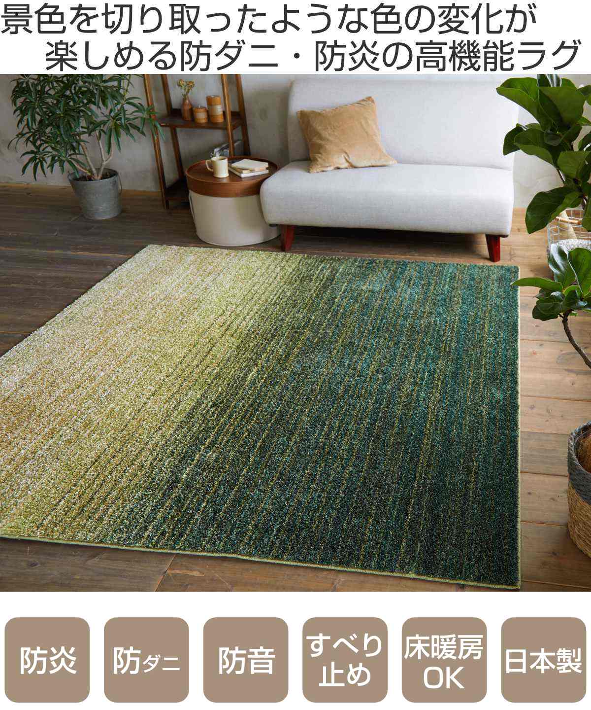ラグ スミノエ オンブレー 190×240cm 防ダニ 防炎 （ ラグマット カーペット 絨毯 マット 機能ラグ 長方形 3畳 ）