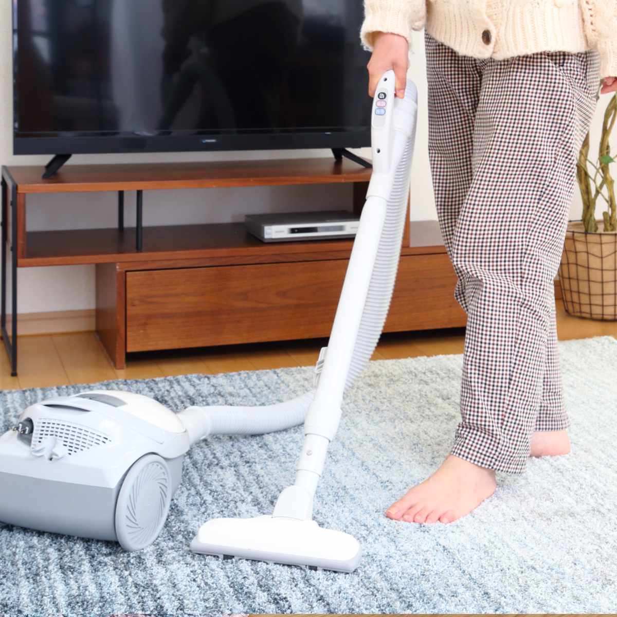 ラグ スミノエ オンブレー 190×240cm 防ダニ 防炎 （ ラグマット カーペット 絨毯 マット 機能ラグ 長方形 3畳 ）