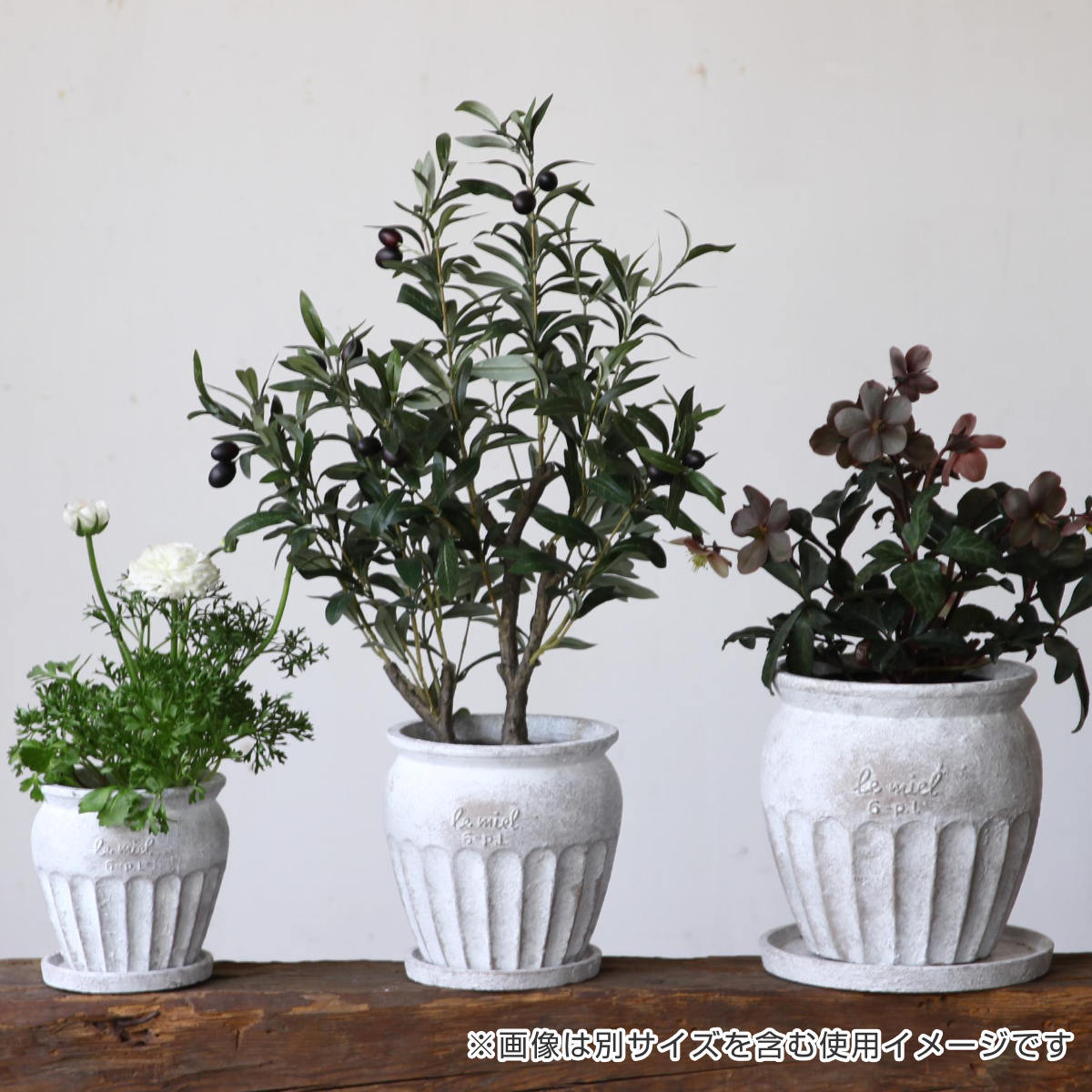 SPICE of Life（スパイス オブ ライフ） 植木鉢 HONEYBEE プランター L
