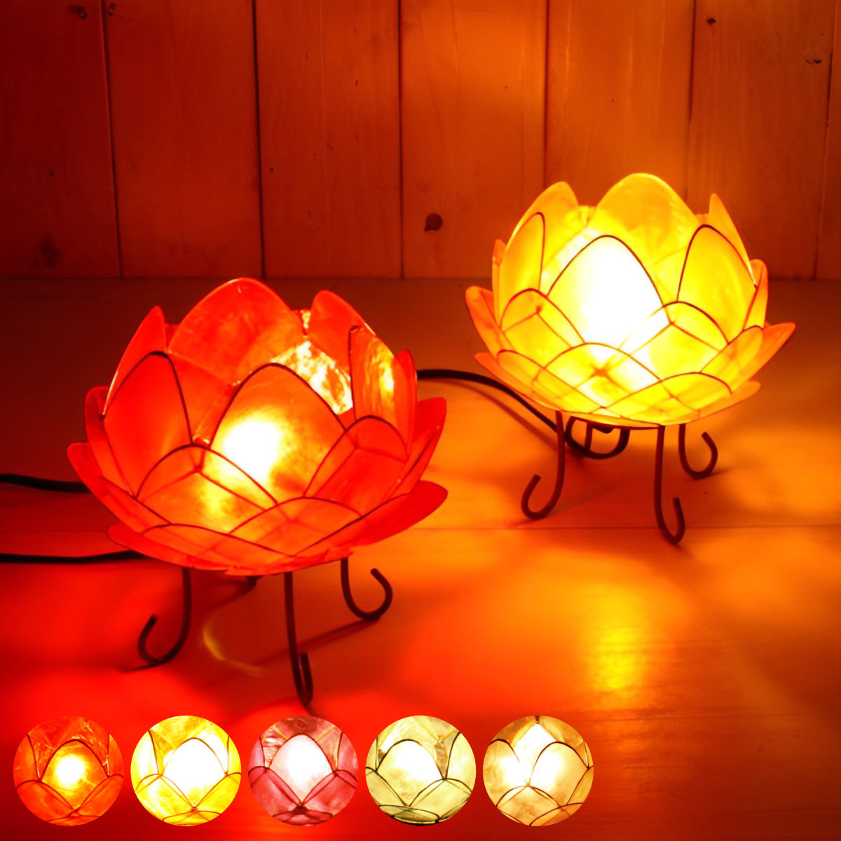 照明 カピスロータスランプ Lサイズ 直径16cm （ ランプ 間接照明 ロータス型ランプ デスクライト インテリアライト 卓上 インテリア おしゃれ ）