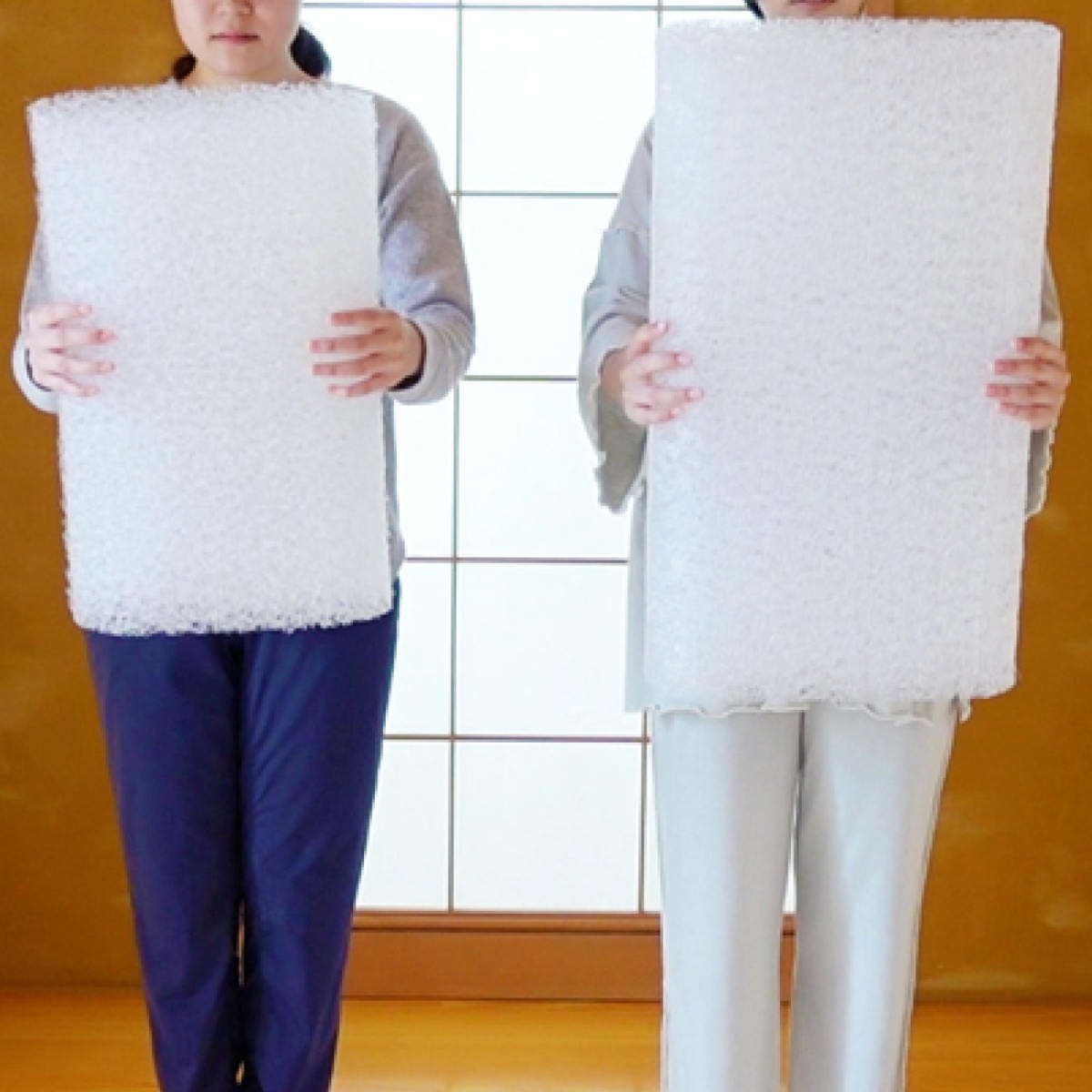枕 30×50cm 洗える中材 カバー付 オーガニック 日本製 エアー （ まくら マクラ ピロー コットン 綿 100％ タオルカバー付き ） | ブランド登録なし | 12