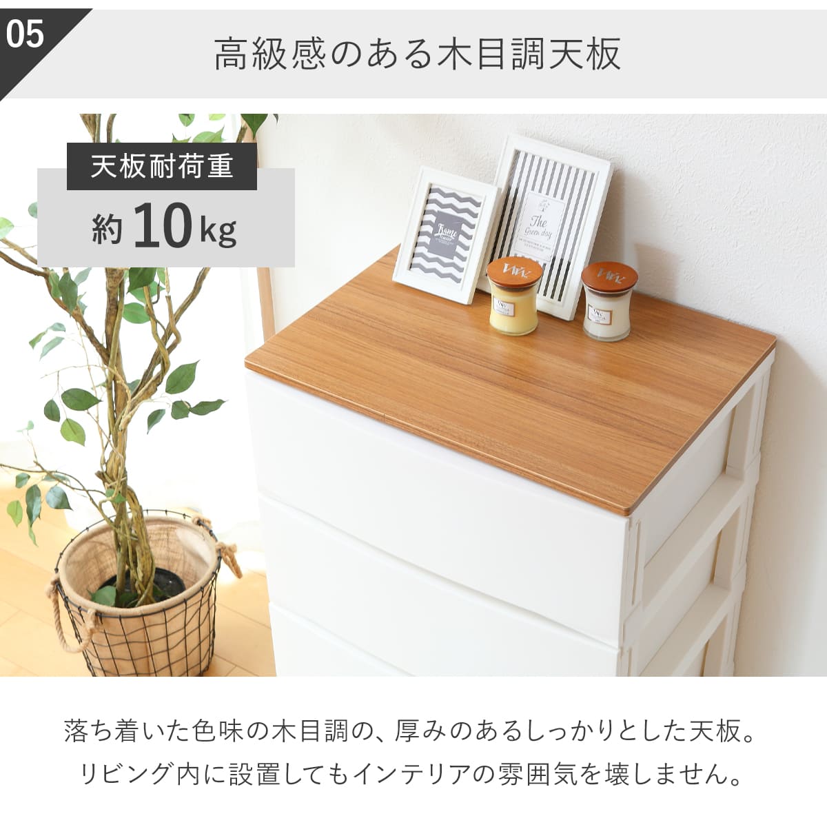 SANKA（サンカ） チェスト ルームスシェード木天板 5段 幅54×奥行42×高