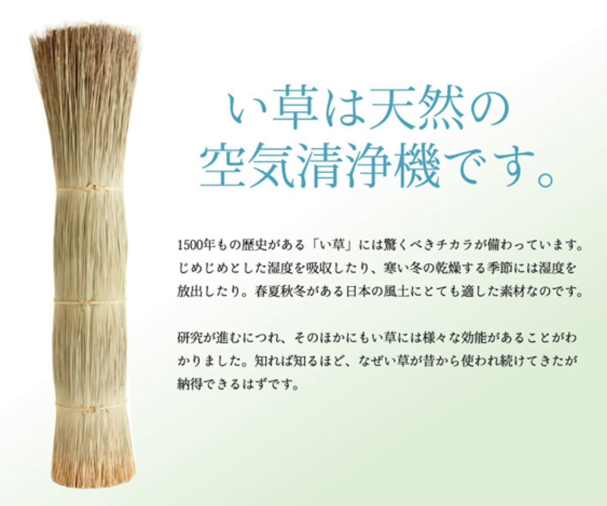 畳 純国産 置き畳 ユニット畳 天竜 82×82×1.7cm 12枚セット 軽量タイプ （ 敷物 ラグ マット い草マット い草カーペット い草 たたみ 6畳 ）_5