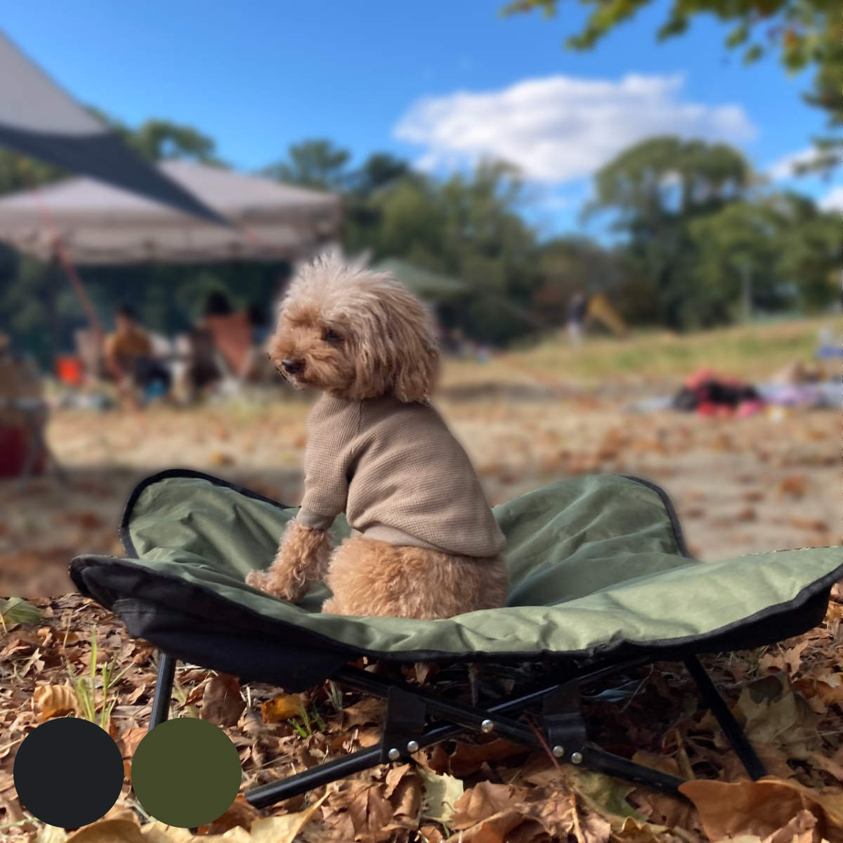 ペットベッド アウトドア ペットコット M 折りたたみ 犬 （ ドッグコット ドッグベッド 犬用 ペット用 コット キャンプ 旅行 小型犬 中型犬 ）