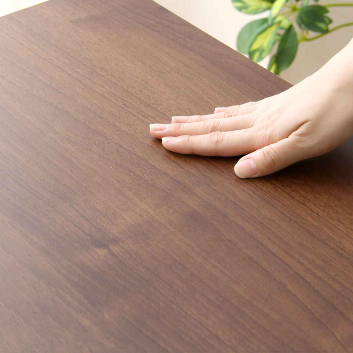 ホームテイスト（HOME taste） 専用上置き棚 幅59cm つっぱり式 開き戸