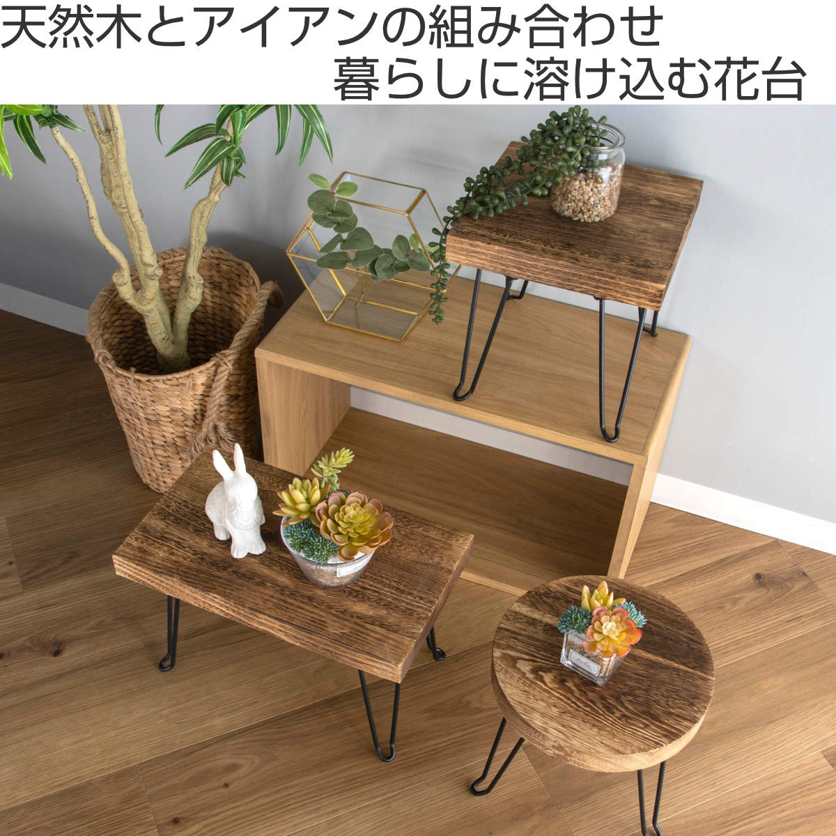 杉 無垢材 TVボード シェルフ フラワースタンド プランター コの字 木製 HABITER（アビテ） 花台 プランタースタンド ピエニ ラウンドスタンド