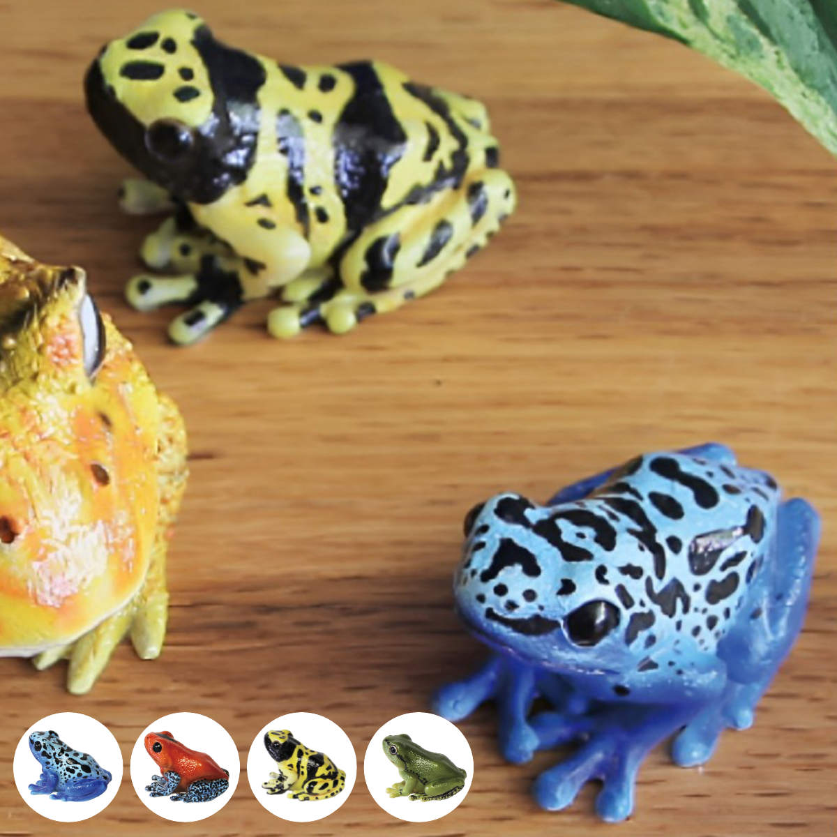 �I�u�W�F REPTILES MAG ���h�N�K�G�� �A�}�K�G�� �i �N���b�v�z���_�[ �u���� �u�� ���� �^ �J�G�� ���A�� �}�O�l�b�g ���� ���� ��� �}�X�R�b�g �j