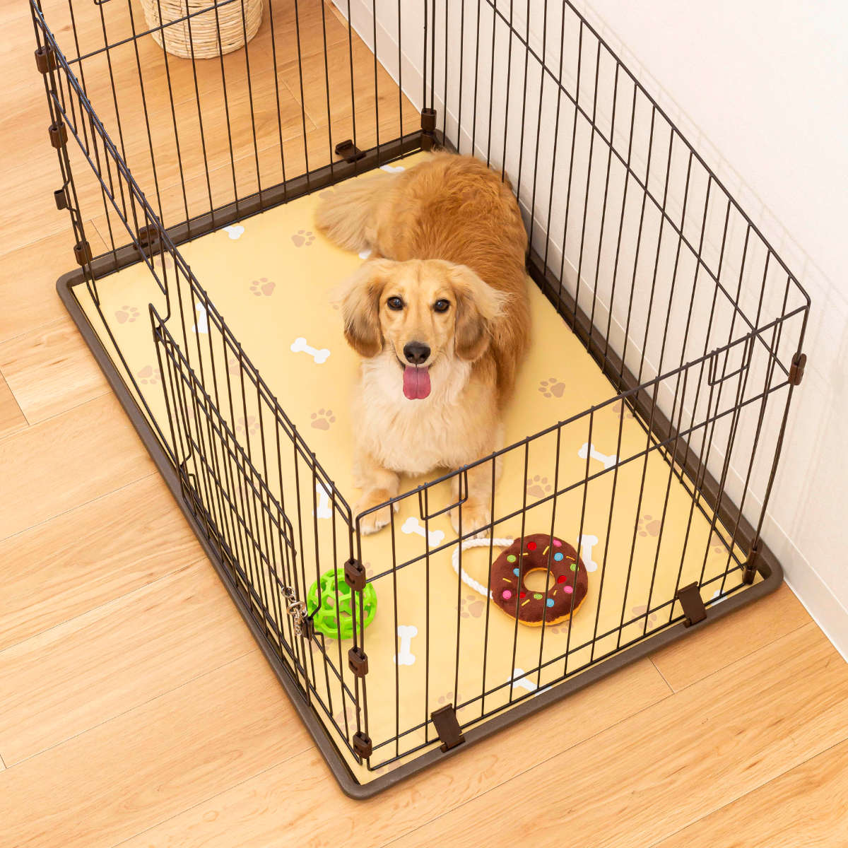犬のケージ90cm美品 犬 ケージ 90cm」の人気商品一覧 | 安い商品を通販サイトから探す