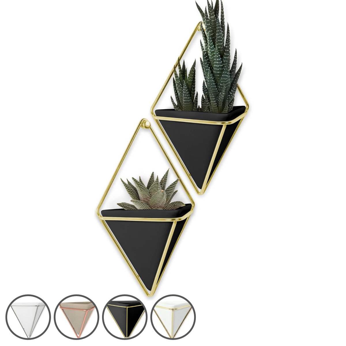 Umbra �v�����^�[ �E�H�[���I�[�K�i�C�U�[ S �g���b�O 2���� �i �A�؃|�b�g �v�����g�|�b�g �A���p�|�b�g �A���u�� �Z���~�b�N �ǂ��� �j