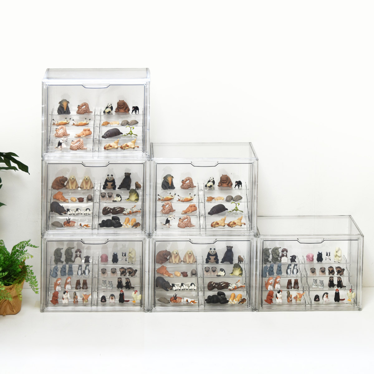 コレクションケース ラダー付き マルチクリアボックス 2個セット 収納