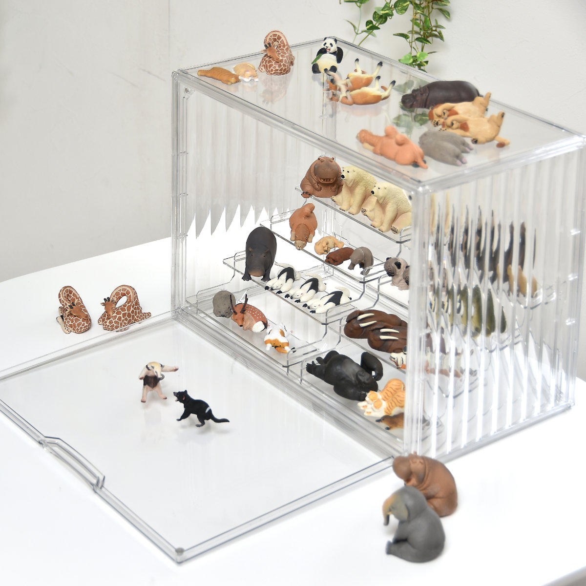 コレクションケース ラダー付き マルチクリアボックス 2個セット 収納