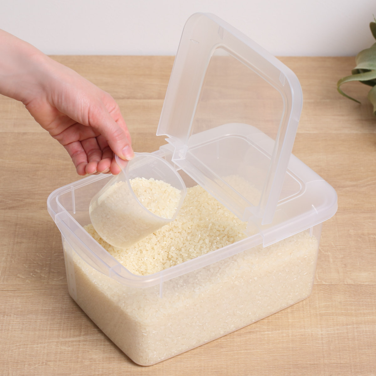 パール金属 米びつ 3kg ストックス 冷蔵庫用 計量カップ付き （ 冷蔵庫