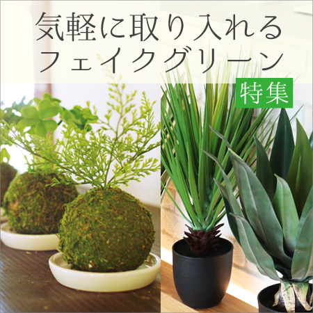 フェイクグリーン特集