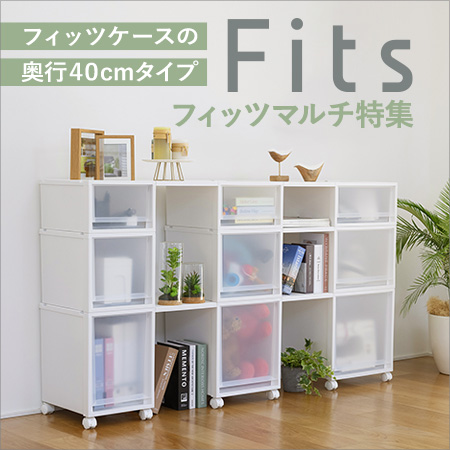 フィッツケースマルチ特集