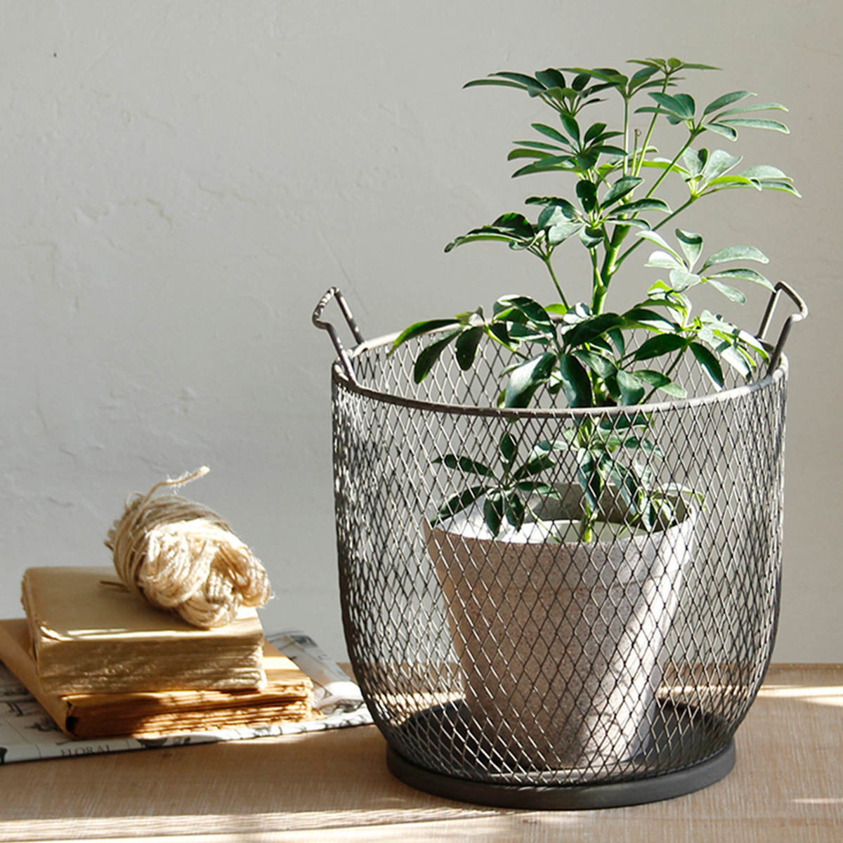 SPICE of Life（スパイス オブ ライフ） バスケット コンテンポ