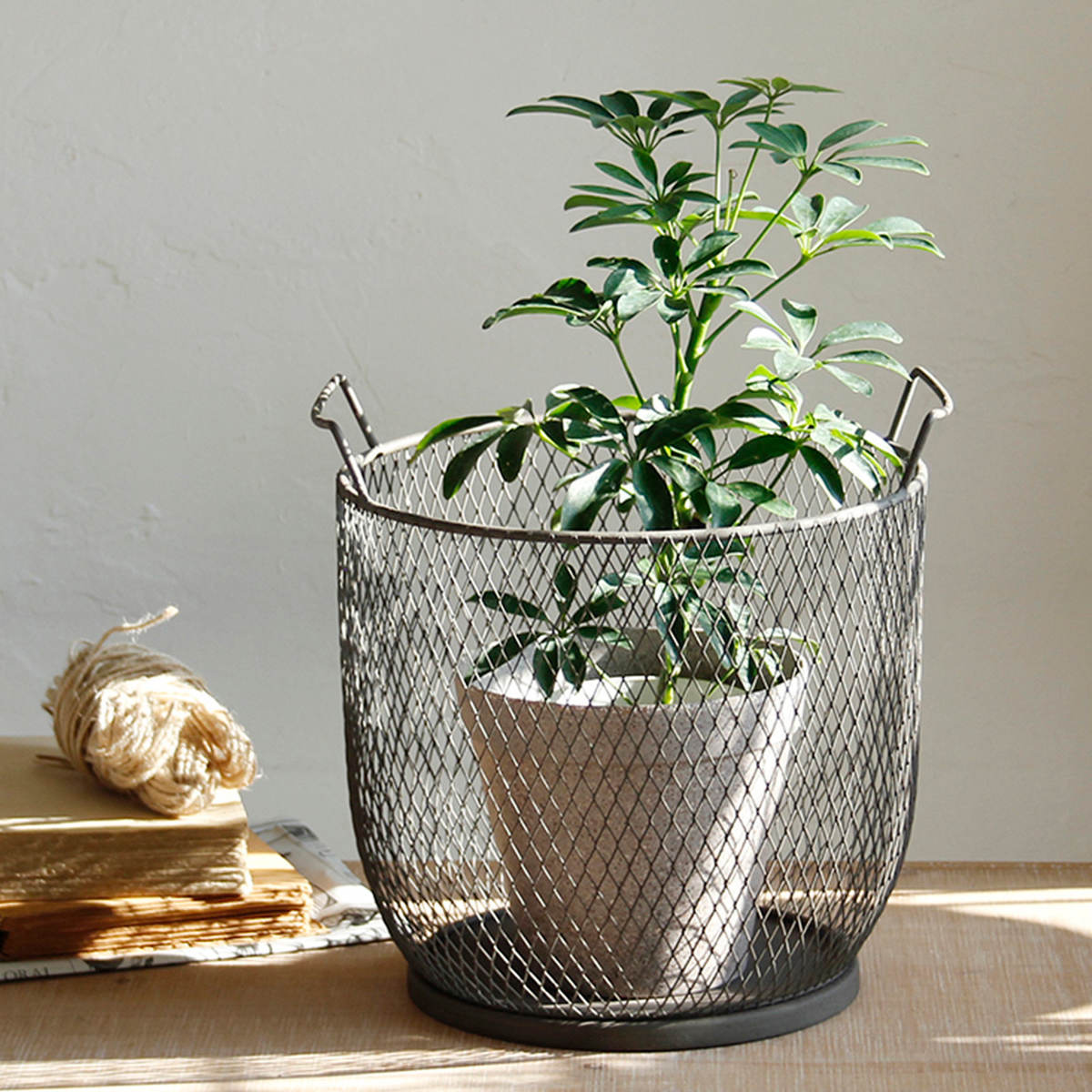 SPICE of Life（スパイス オブ ライフ） バスケット コンテンポ