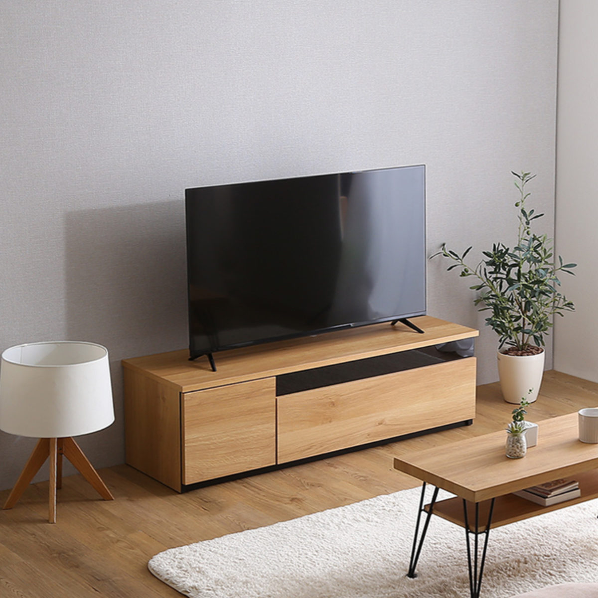 ホームテイスト（HOME taste） テレビ台 54型対応 幅120cm 完成品 日本