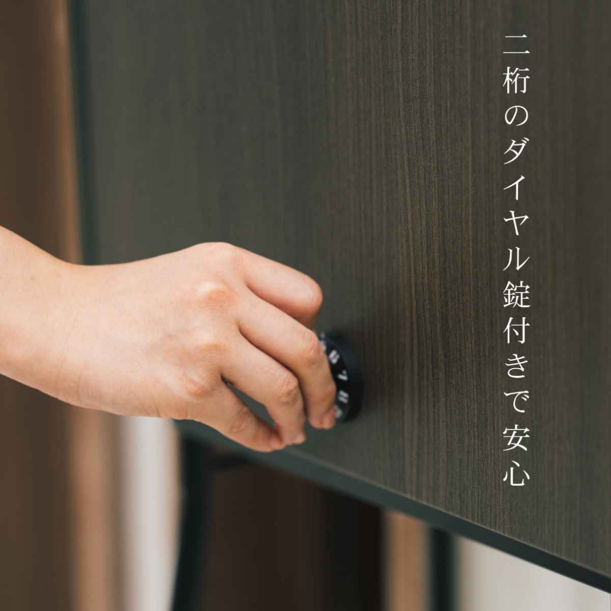 郵便ポスト 木目調郵便ポスト ダイヤル錠付き 壁掛 （ ウォールポスト