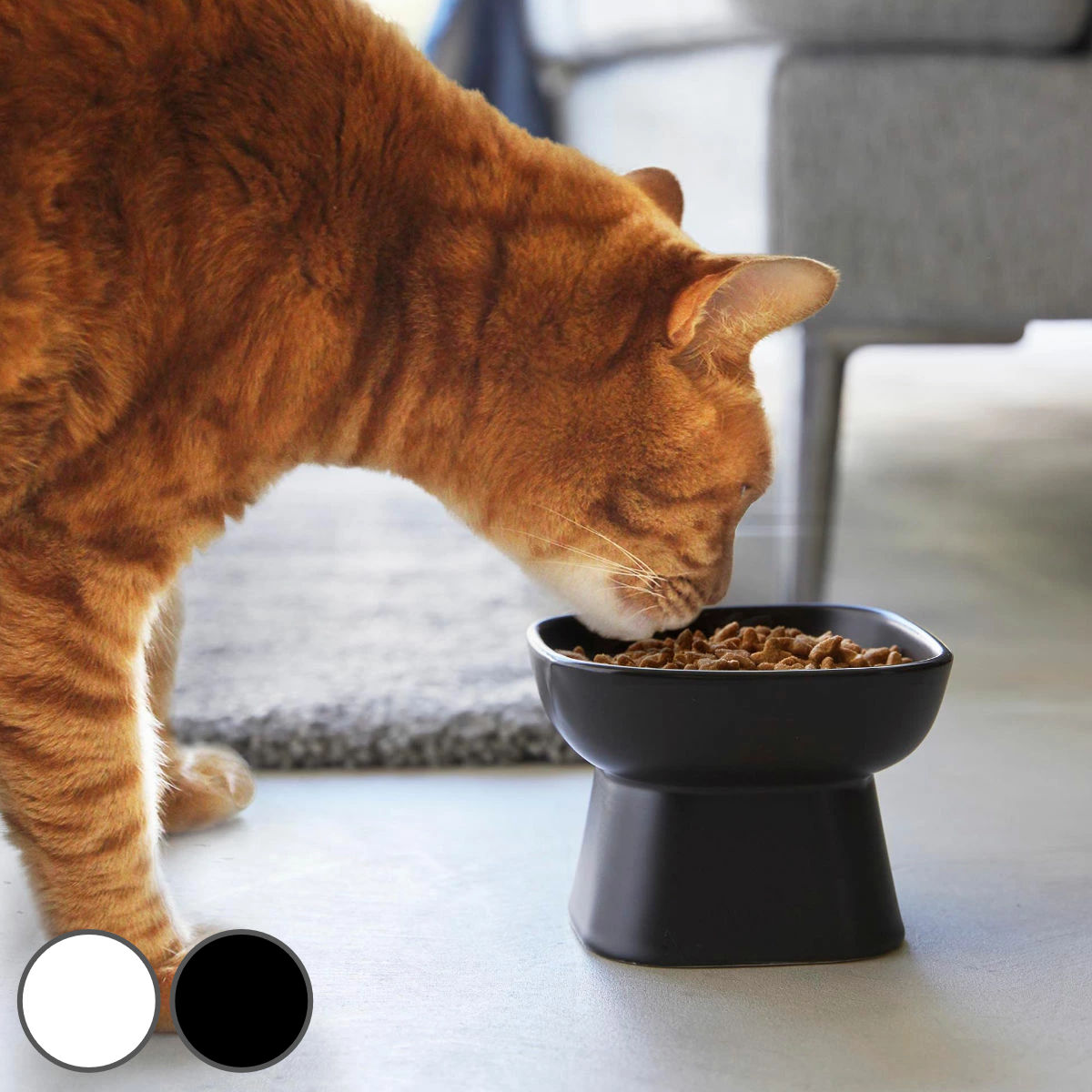 山崎実業 nooks 食べやすい高さ陶器ペットフードボウル ヌークス （ 4903208017794 ペットボウル 電子レンジ対応 食洗機対応 陶器 高さがある ）