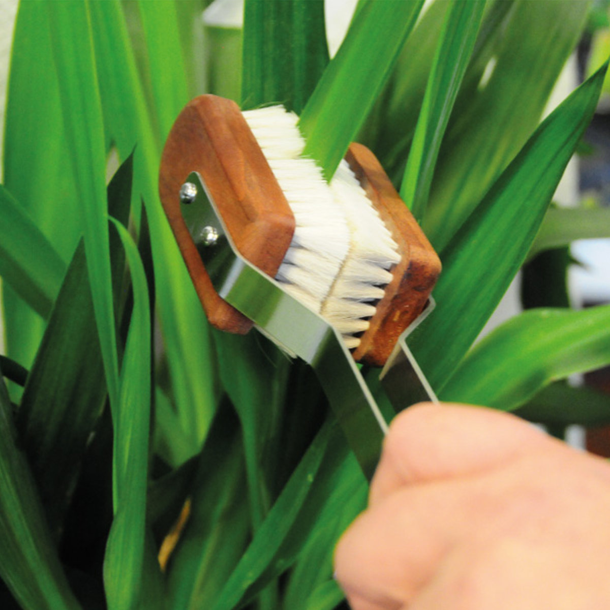 Redecker レデッカー 観葉植物 ブラシ リーフブラシ 35cm （ 植物 ほこり取り 観葉植物用ブラシ 掃除ブラシ 山羊毛 木製 ドイツ製 おしゃれ ）