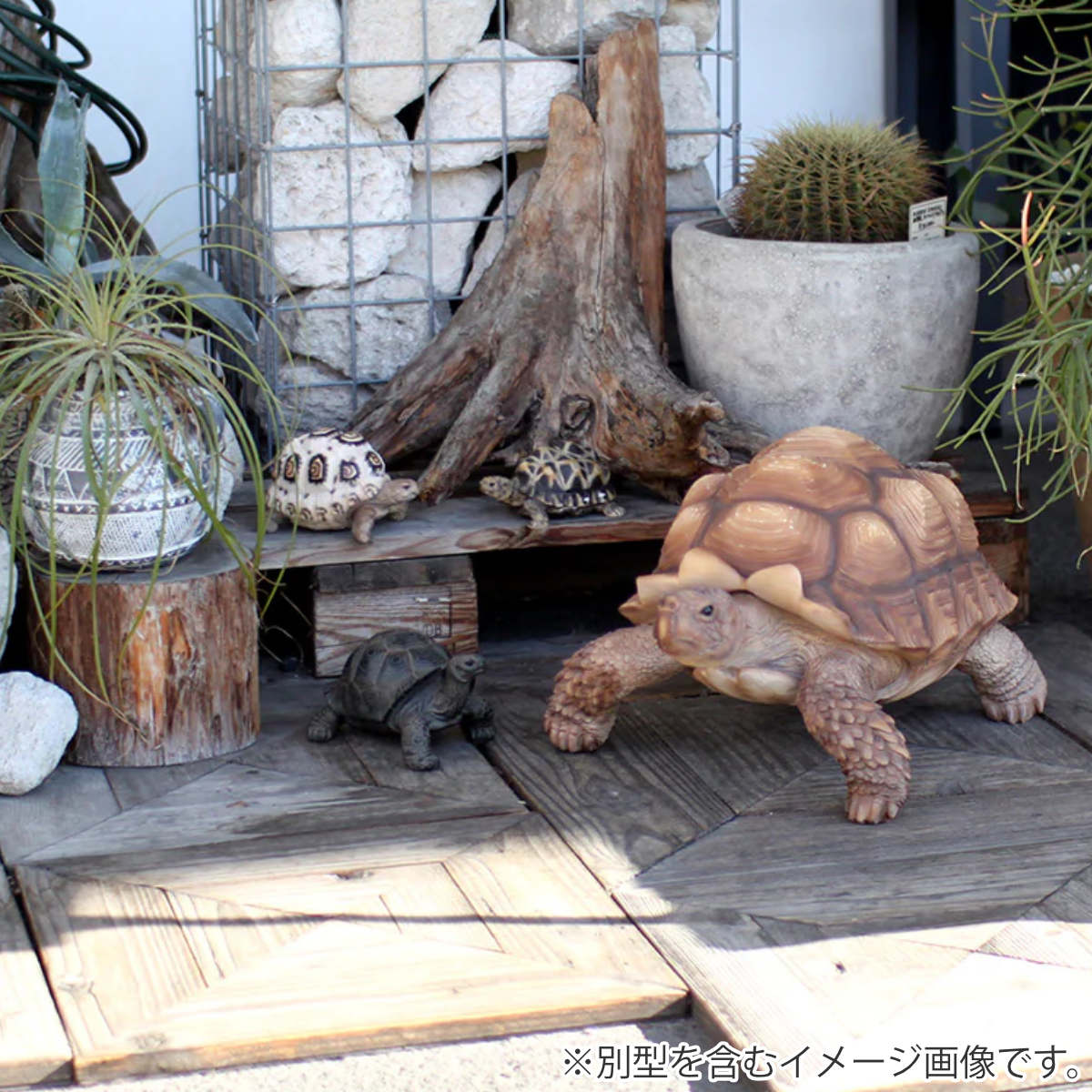 magnet オブジェ リクガメ ペットバンク 貯金箱 （ 置物 動物 雑貨