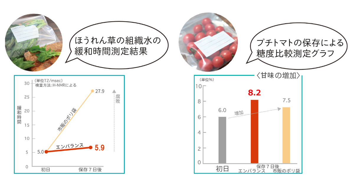 EMBALANCE 保存容器 2.1L レクタ...の詳細画像3