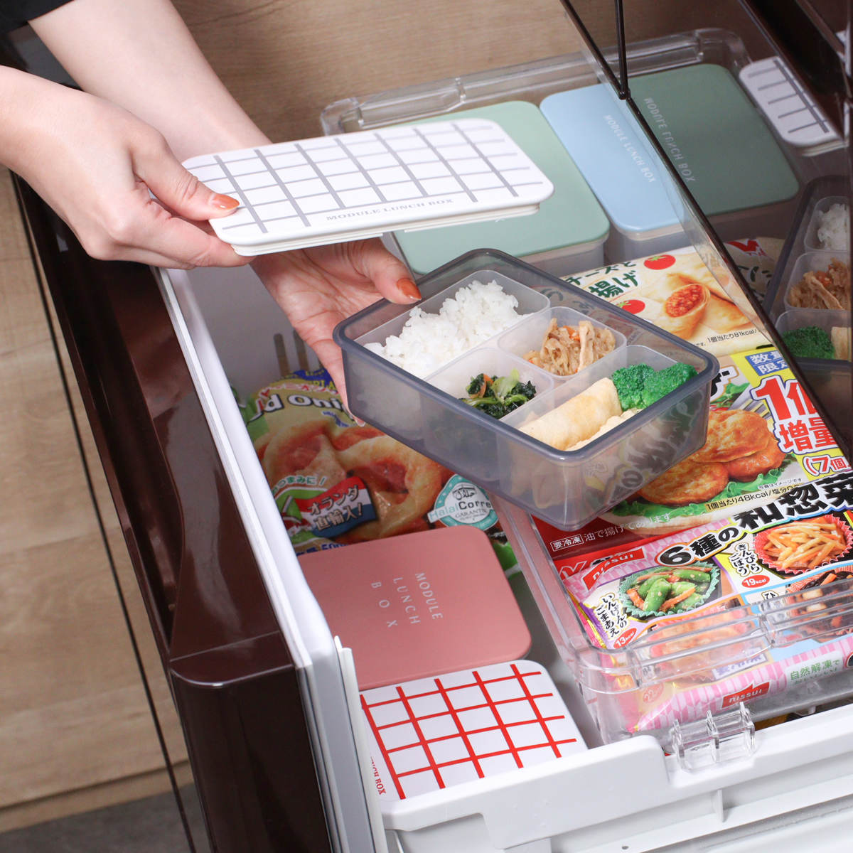 弁当箱 冷凍 1段 600ml MODULE ランチ L グリッド （ お弁当箱 レンジ
