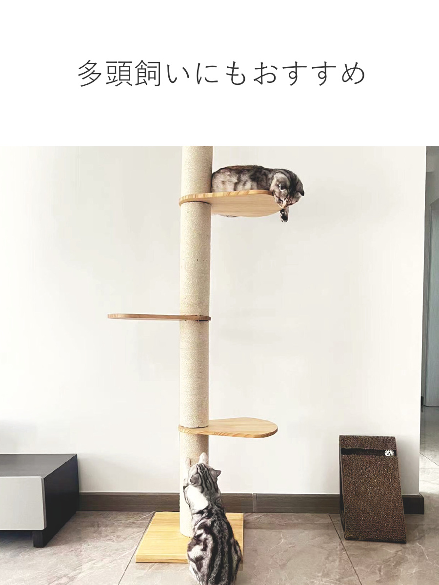 キャットタワー ねこぞく ブーレ 木製 突っ張り スリム （ キャット