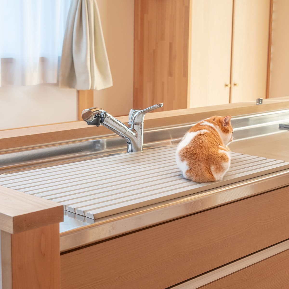 洗える ナイロン蚊帳（かや） 10畳 ブルー 送料無料（ポイント消化