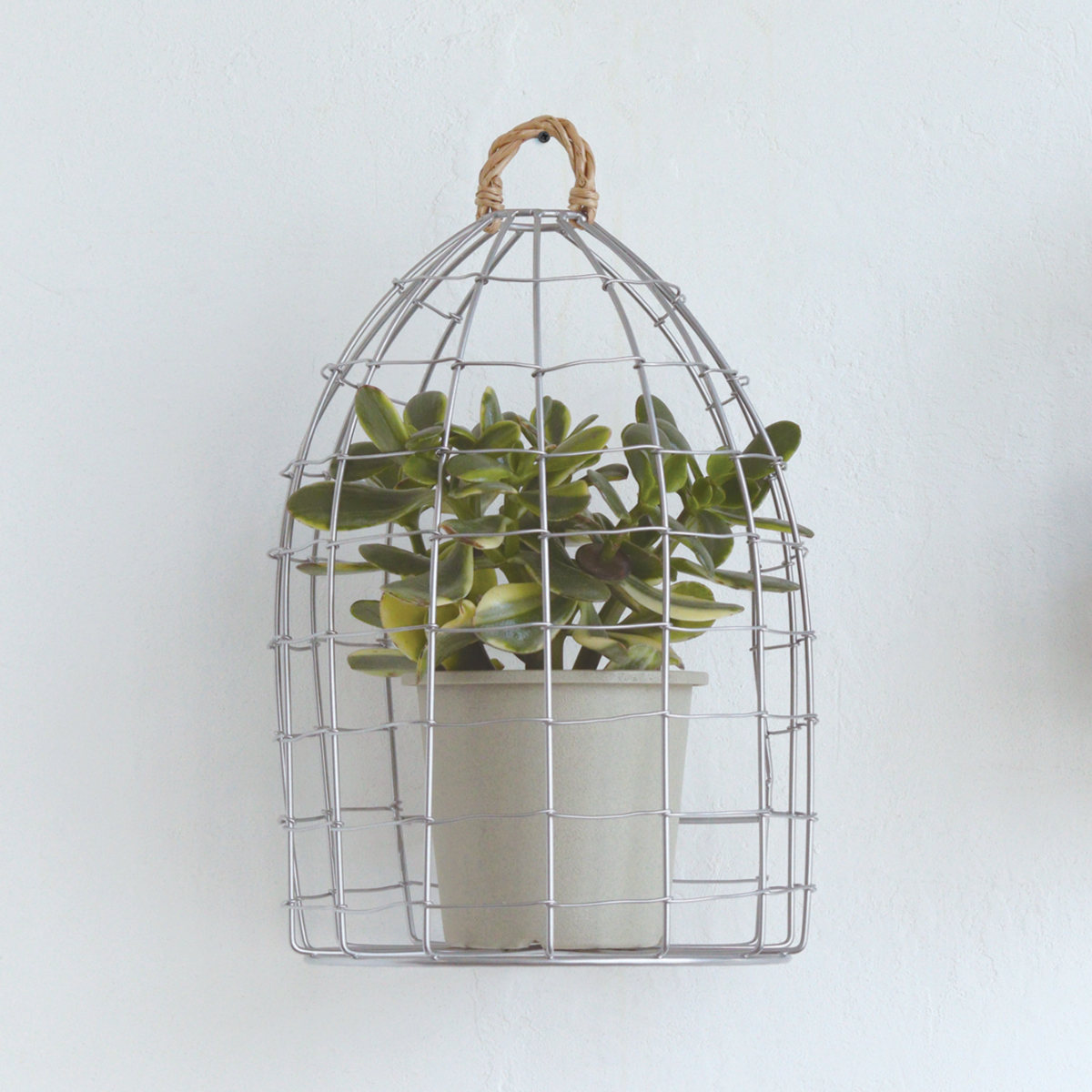 農業資材 ガーデニング かご ケージ 鳥かご」の人気商品一覧 | 安い