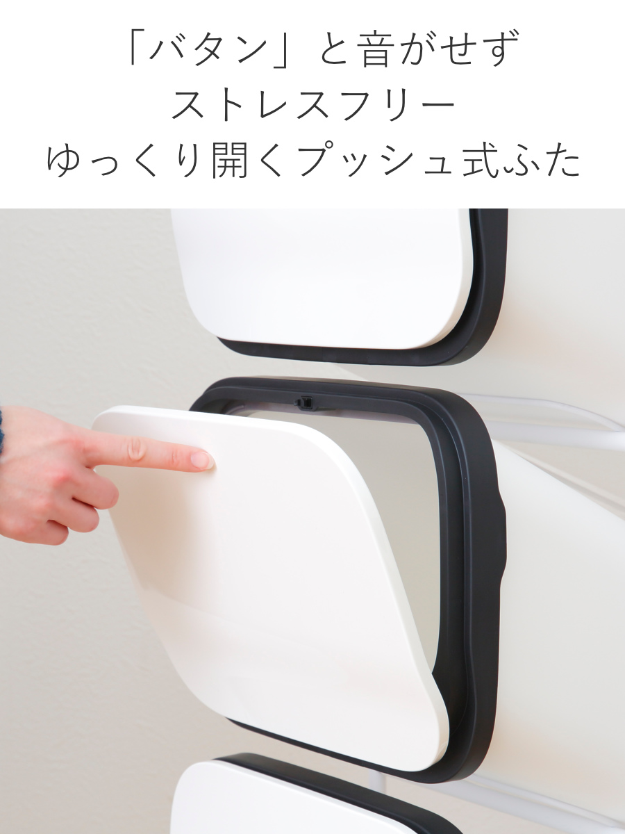 RISU（リス） ゴミ箱 5段 Nスムース スタンドダストボックス （ ごみ箱