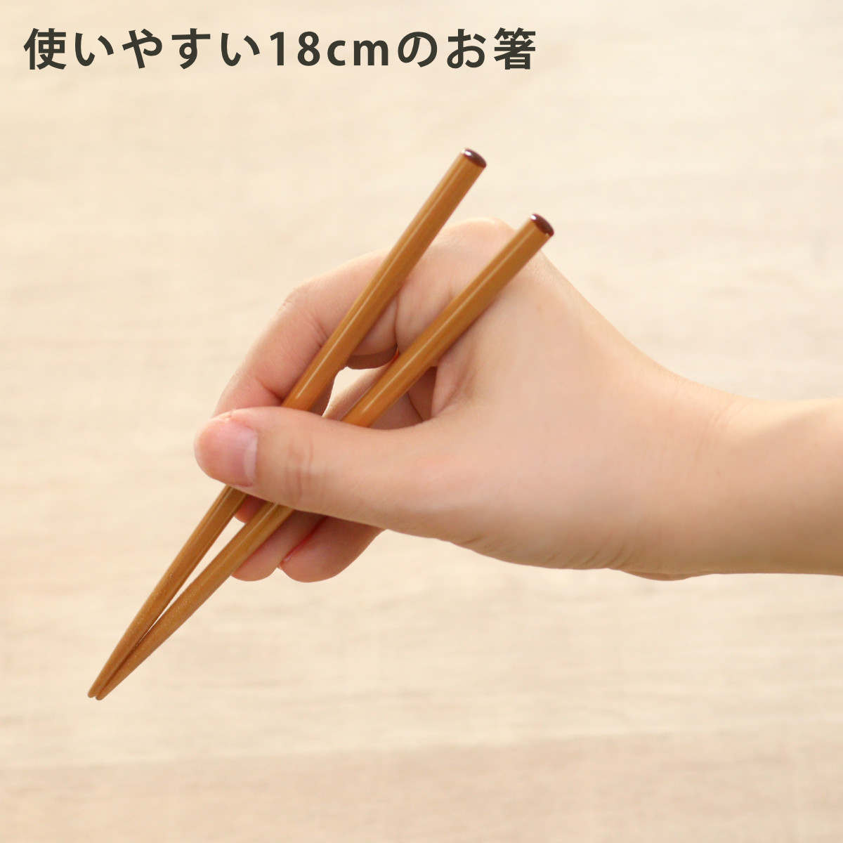 HAKOYA 箸箱セット 食洗機対応 スライド箸箱セット 箸 18cm （ お箸