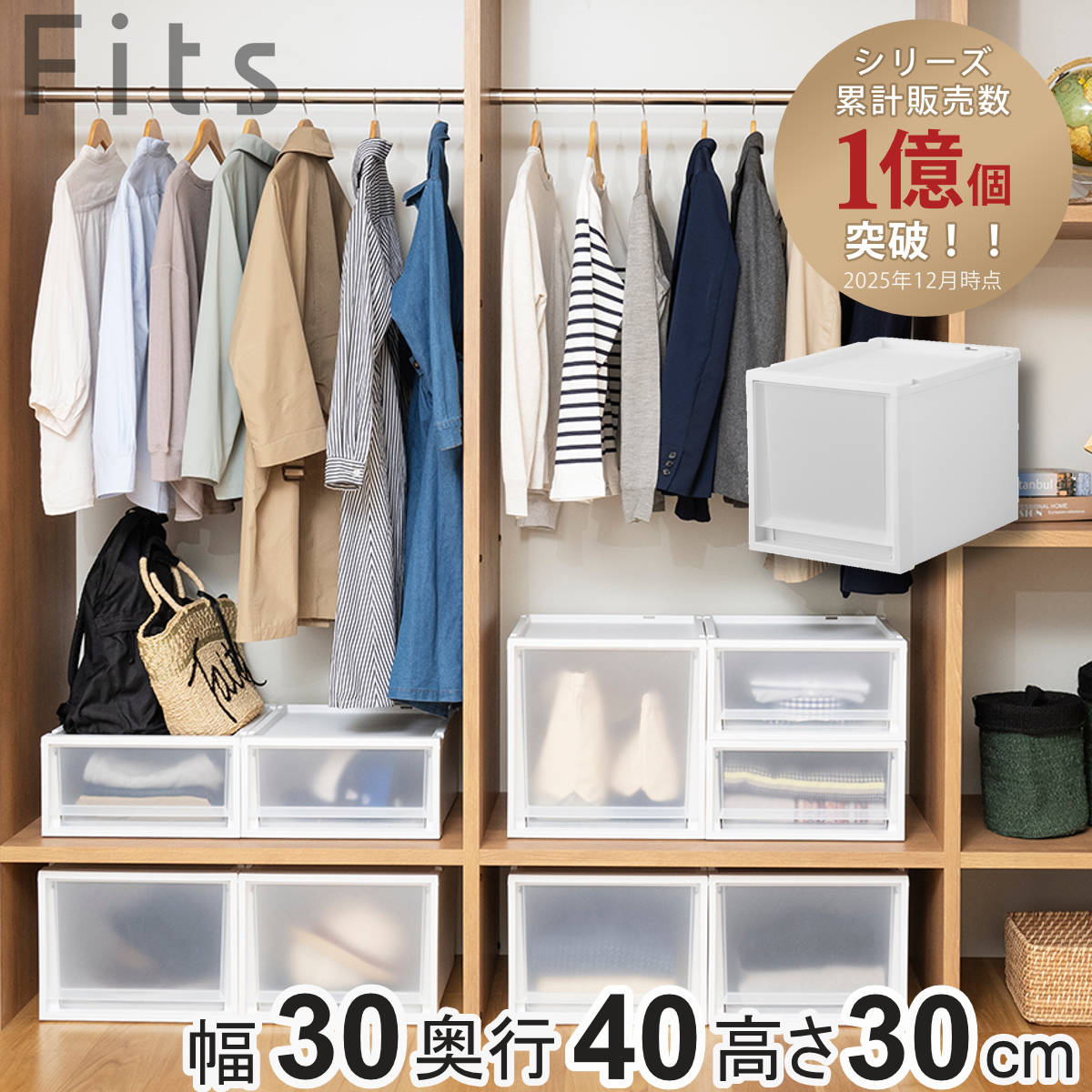 【オーダー】もけい様　横60×縦30×奥行き40 【２台】 Fits 収納ケース フィッツケース マルチ 40-30M （ 幅30×奥行40×高さ