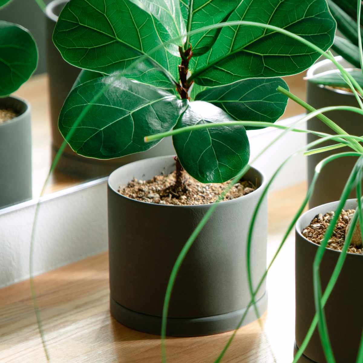 KINTO（キントー） プラントポット 170×160mm （ 鉢 植木鉢 プランター