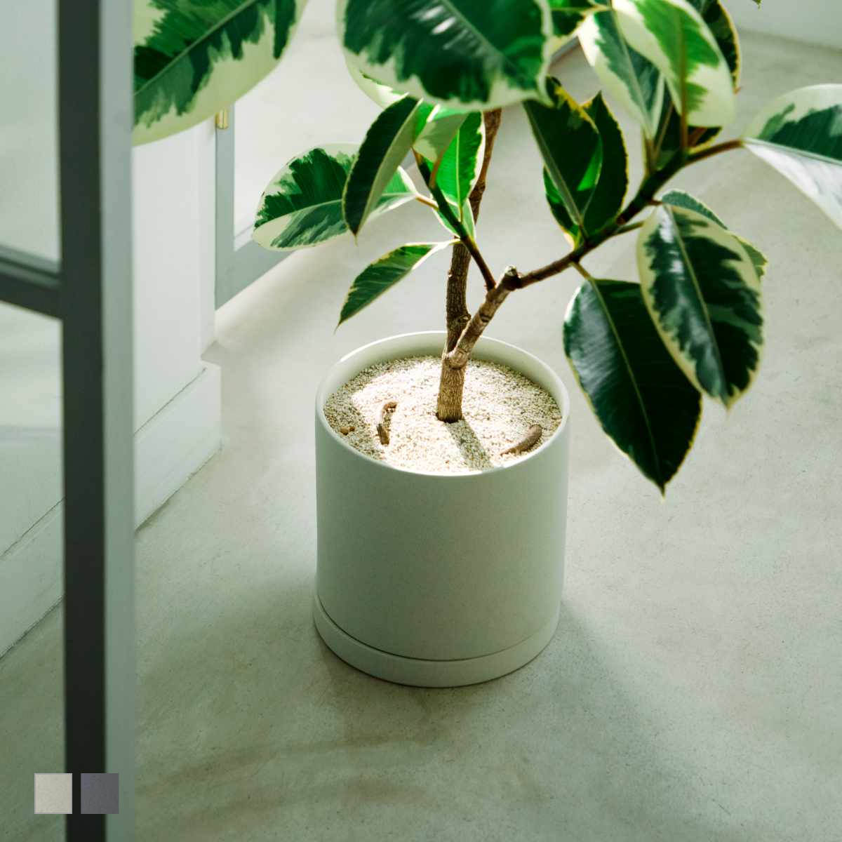 KINTO �L���g�[ �v�����g�|�b�g 200×195mm �i �� �A�ؔ� �v�����^�[ �t�����[�|�b�g 20cm �j