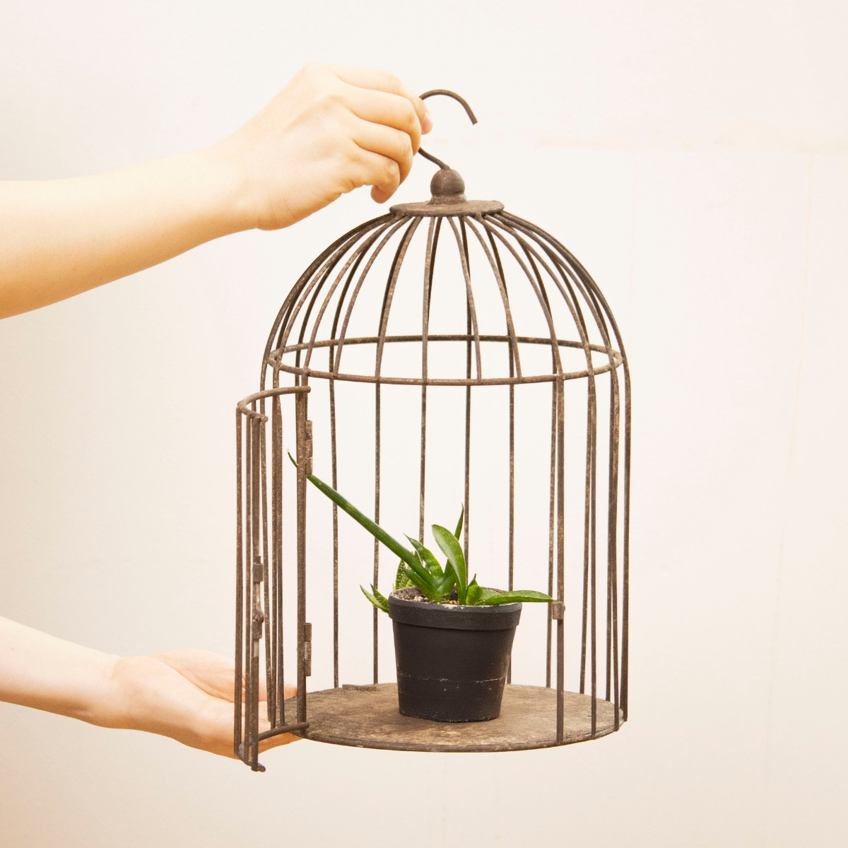 ハンギングフラワーゲージ　アイアン 鳥かご ヴィンティー バードケージ ハンギングポット （ プランター