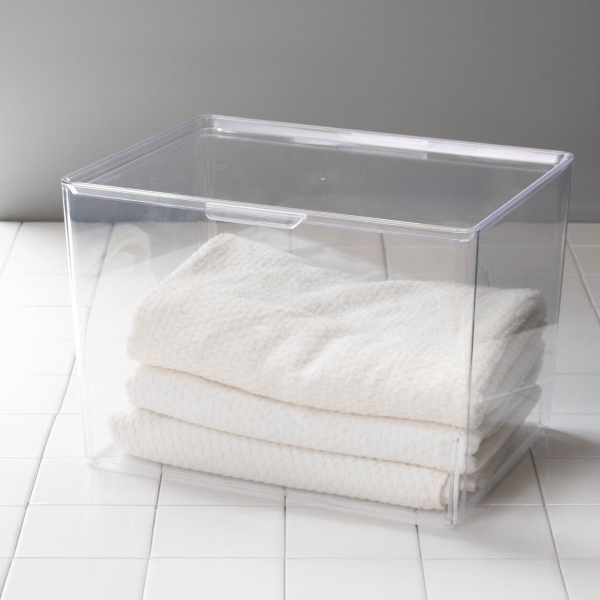 SANKA 収納ボックス スケルトンボックス L クリア 幅35×奥行28.4×高さ