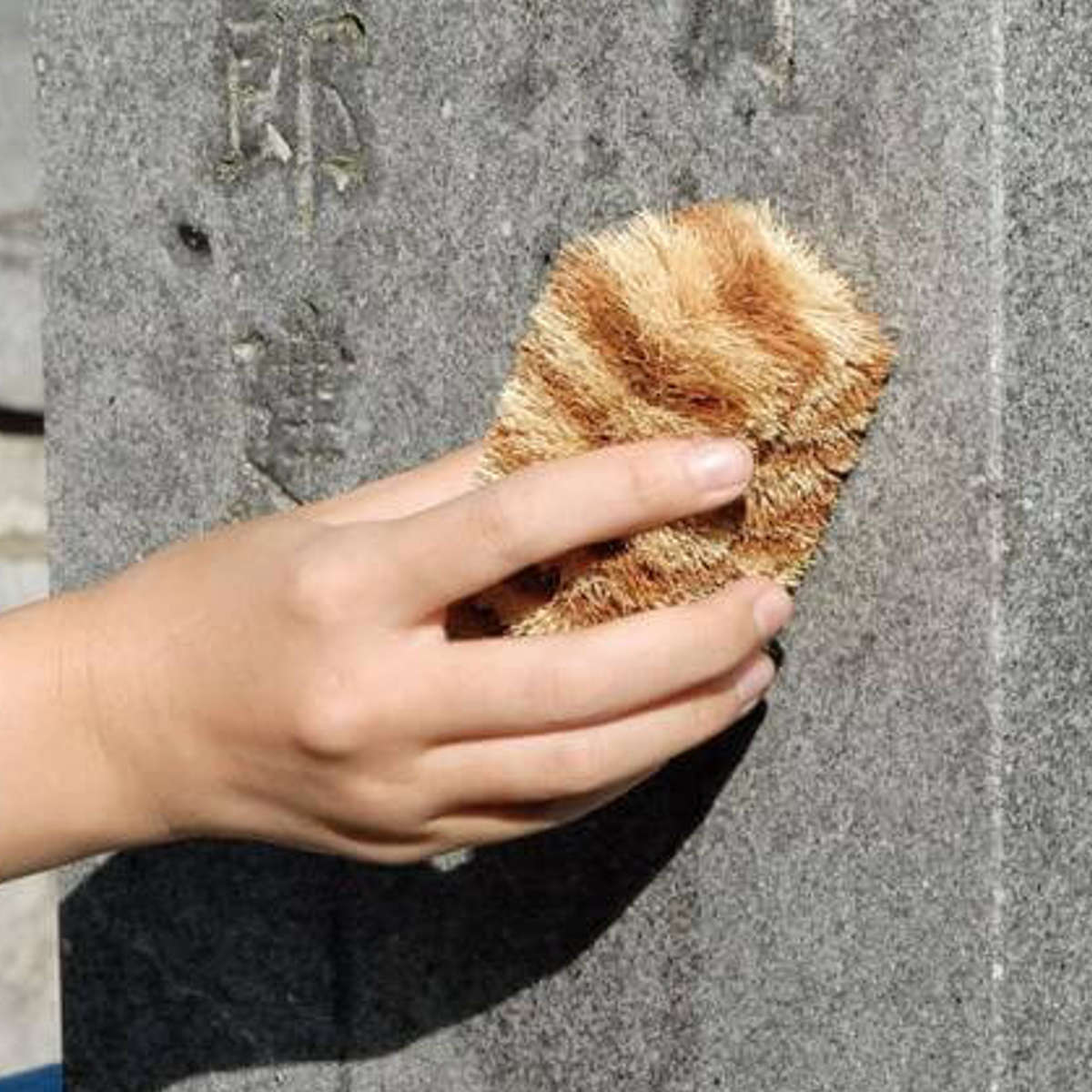 お墓洗い 墓石用 四角い タワシ （ たわし お手入れ 墓石用ブラシ 清掃ブラシ 掃除用品 隙間 お墓 墓石 掃除 ）