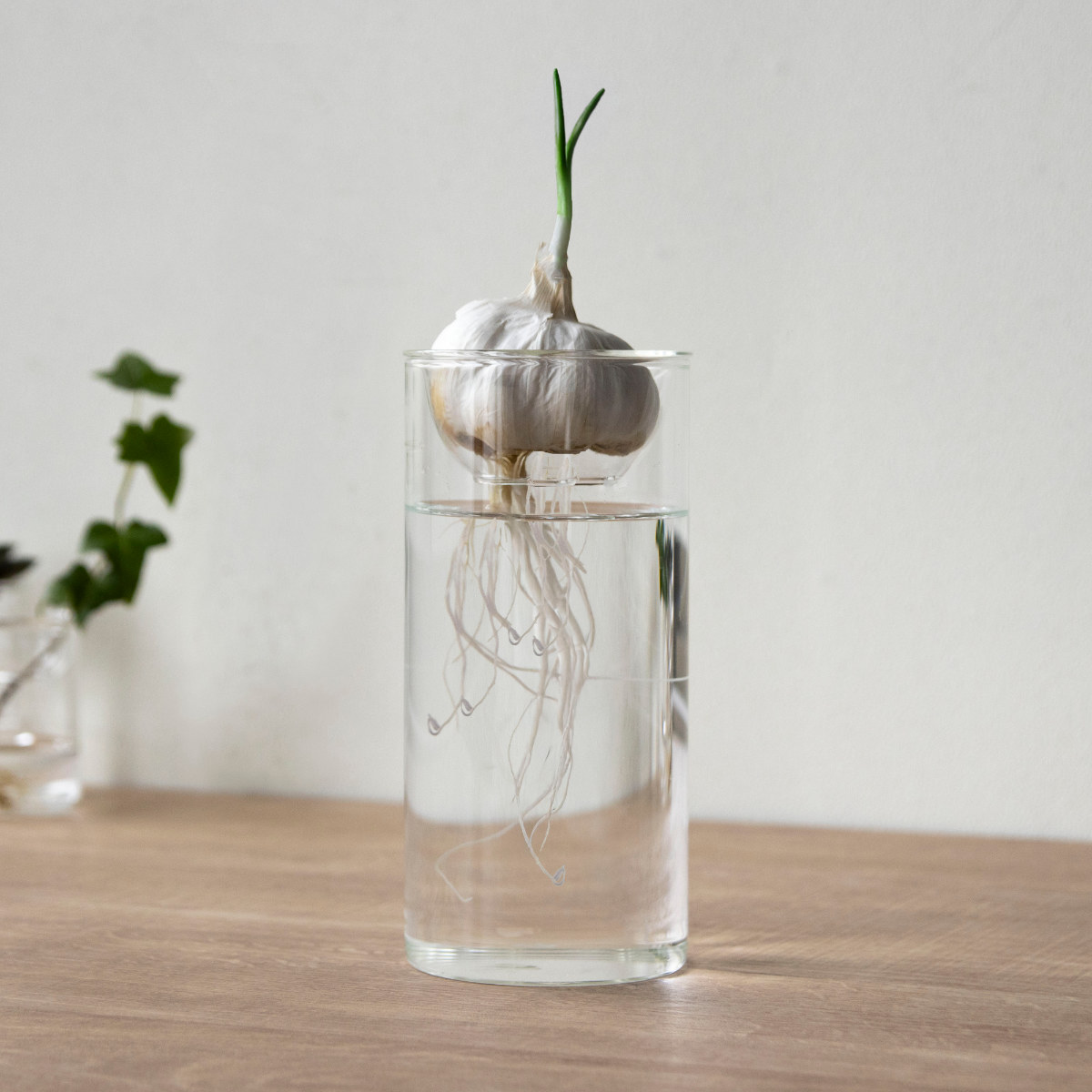 花瓶 BULB VASE 水栽培ガラスベース ロング 水耕栽培 （ 花器 ガラス 