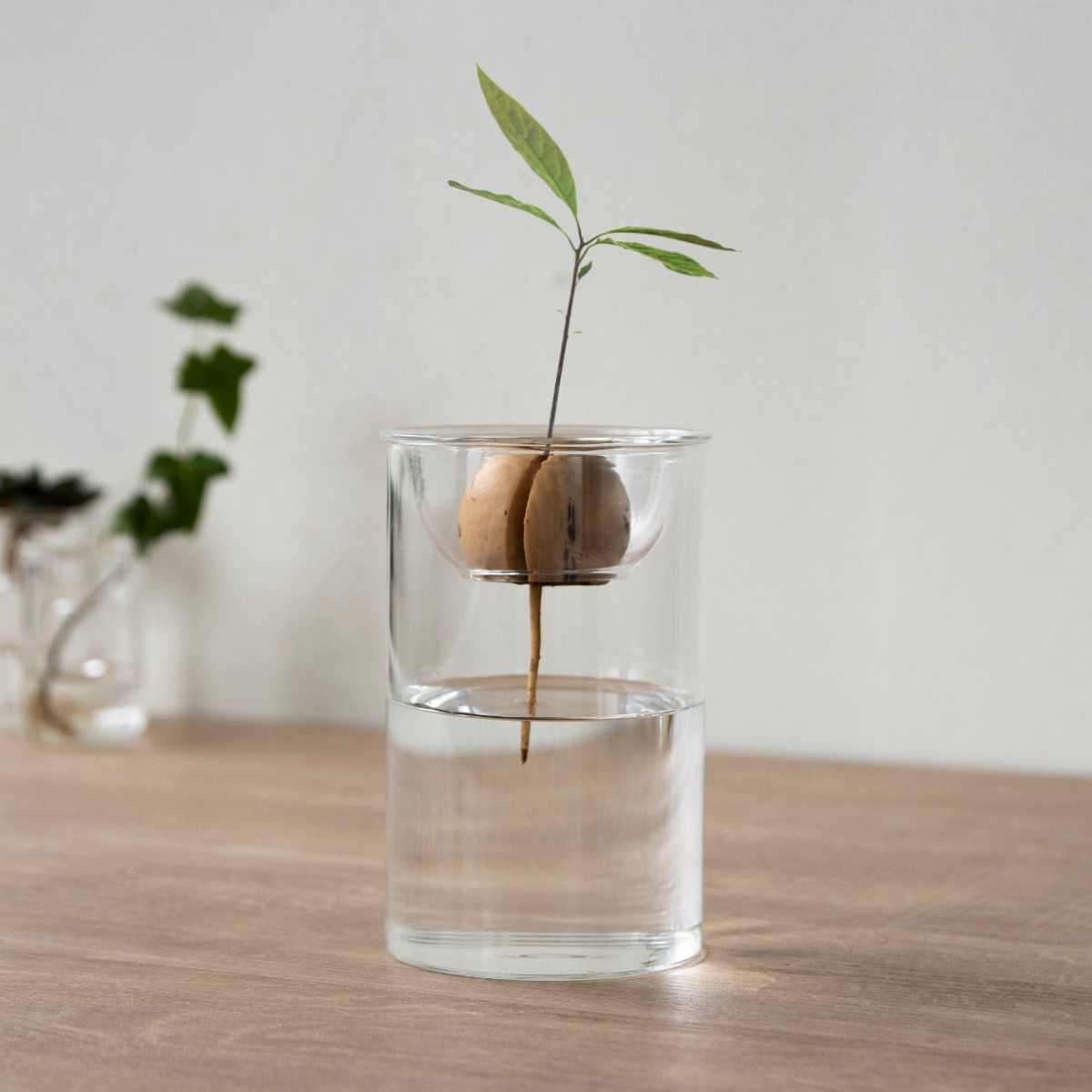 花瓶 BULB VASE 水栽培ガラスベース ショート 水耕栽培 （ 花器 ガラス