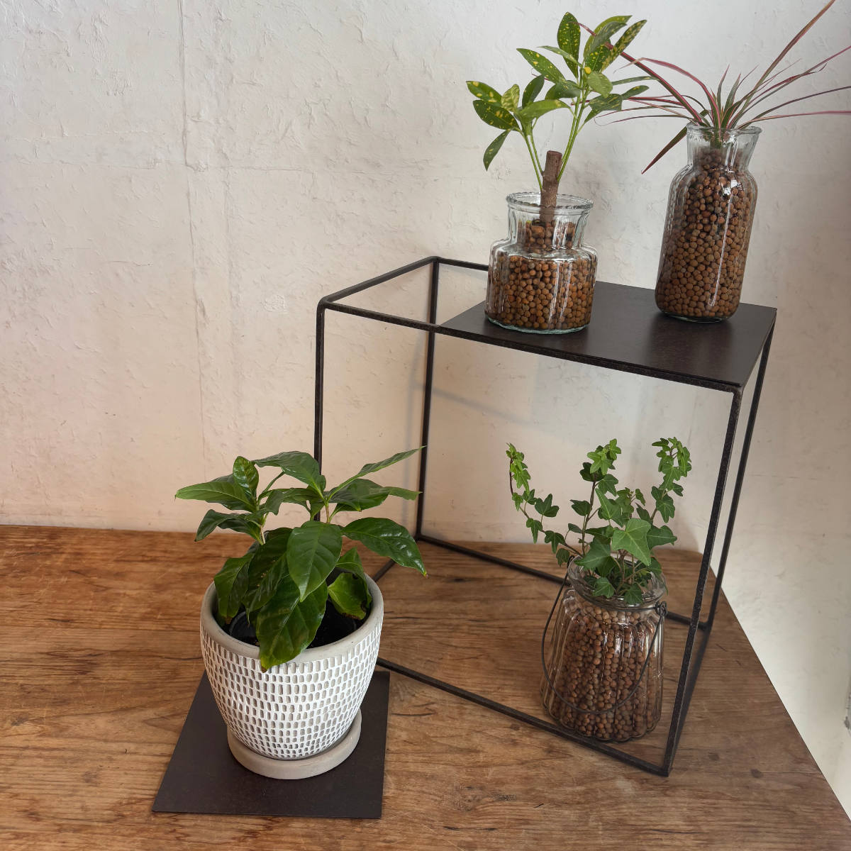 フレーム ジョセフアイアンフレーム スクエア 30×20×30cm