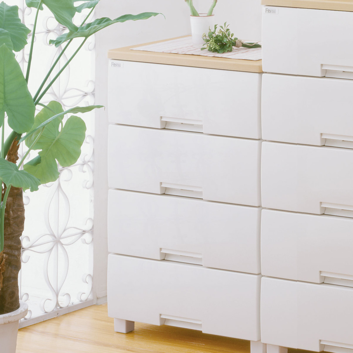 �`�F�X�g �t�B�b�c�v���X 4�i ��55×���s41×����85cm F5504 ���[�v�� �i �^���X �����o�� ���[ �ߗގ��[ ���{�� �����i �t�B�b�c Fits �ߑ��P�[�X �j